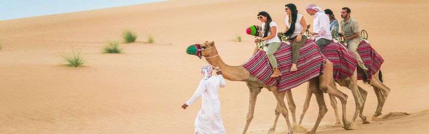 Evening Desert Safari with Camel Ride - Dubai Travelism