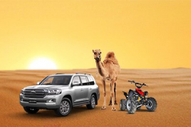 morning desert safari dubai, morning safari dubai, morning quad bike dubai safari